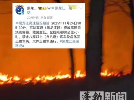 黑龙江多地烧荒,路面都是烟雾。司机:高速路上能见度降低,很危险!交警紧急通知:部分高速限速80公里/小时#东北 #烧荒 #烧秸秆 #雾霾