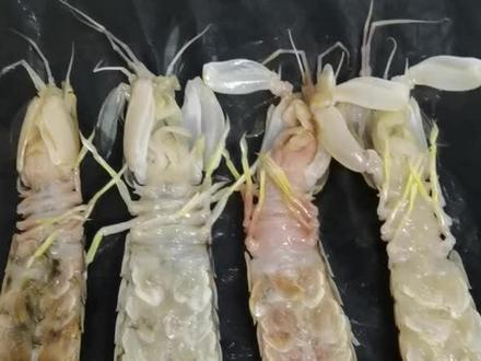 #皮皮虾 #海鲜美食,这样超级肥美的皮皮虾在我们这边只要20几块一斤啊!