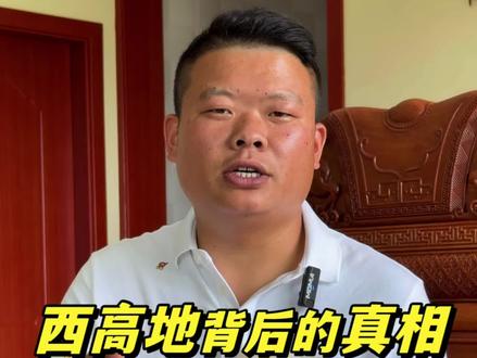 解析西高地背后的真相 想要入手西高地的小白鼠们看一下这个视频 对你们百利而无一害#西高地 #真实生活分享计划#新手养狗 #萌宠 #肖肖家西高地