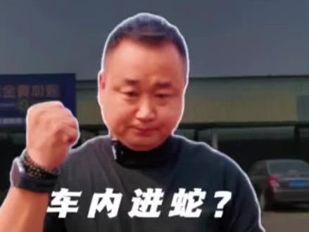 车辆长期户外停放,一个小功能教你车内不进小动物#每天跟我涨知识 #汽车知识 #科普 #万万没想到吧😜😜😜