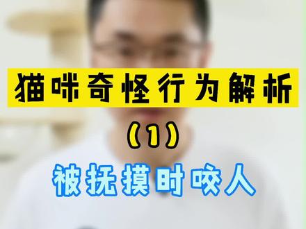 猫咪为什么会在被抚摸时咬我们?猫咪奇怪行为解析(1) #萌宠 #养猫养猫