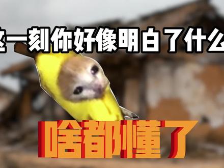 重生之我成为张角#率土之滨