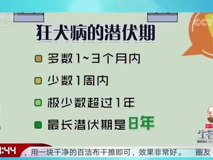 被狗舔是否能得狂犬病常识。