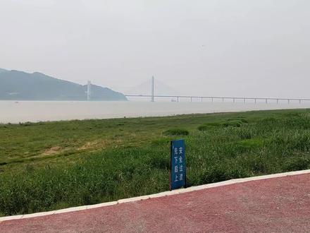 梅家州汽车🚗轮渡30元,安庆大渡口轮渡10元比,为什么差距这么大 #轮渡过江 #汽渡 #水上公路 #轮船 #船 #海事 #江边 #长江轮渡码头