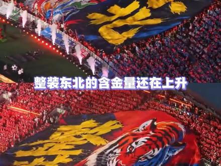 什么是整装东北,东北超就是答案#东北 #东北超 #整装东北 #足球 #东北超开幕式