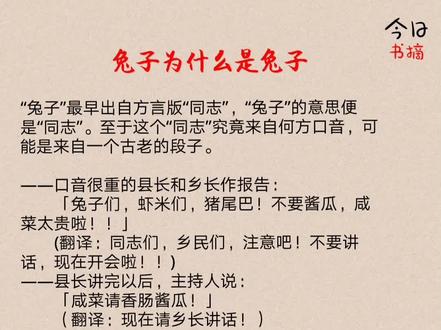 兔子为什么是兔子#她恰似你要的爱