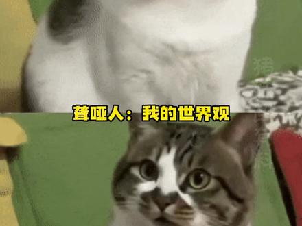 聋哑人看完了一直在重塑世界观啊#聋哑人 #手势舞 #搞笑 #世界观 #手语舞(素材来源@手语星球的闪电超人 )