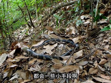 油田工人祭拜荒坟,竟是奉军忠魂! 怪谈论阴阳、诡闻录乾坤!纯属虚构、请勿当真、未经科学证实、注意辨别!音频内容源自网络,侵权私信联系可删除,视频原创制作不易,感谢各位观众老爷支持!#奇闻异事#纯属虚构请勿当真#鬼故事#老张与小马#青年创作者成长计划