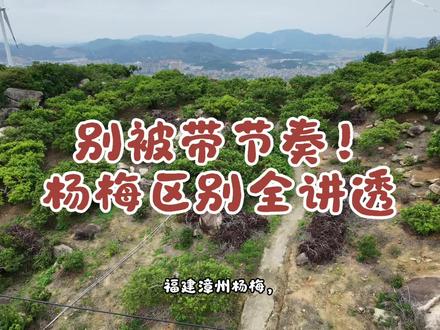 年年都吵的福建杨梅和浙江杨梅,到底哪家强?今天我来客观说句大实话
📍福建杨梅:五月就熟啦,酸甜爆汁,主打一个初夏尝鲜
📍浙江杨梅:六月成熟,周期更长,甜度更高果肉也更厚实
其实很简单——五月吃福建,六月吃浙江,各有千秋,真的没有高低之分
再说说大家最担心的用药问题:两地露天杨梅的种植管护标准是一致的,正规果园都会提前停药,让果子自然成熟。网上有人抹黑福建杨梅,基本是把流通的保鲜问题,错算成了种植本身的问题
最后想说,真的别捧一踩一,每个认真种地的果农都值得尊重呀~
#每日分享 #三农 #杨梅