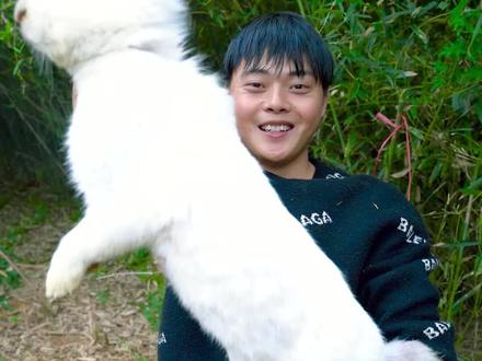隔壁爷爷家养的兔子跑了,用小时候的传统陷阱帮他抓兔子,没想到...#三农 #兔子 #农村人的一天 #农村生活
