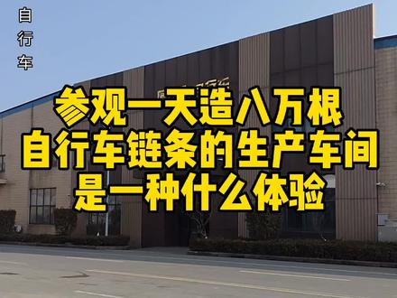 纯正的国产品牌“上海凤凰”兢兢业业造了一百二十三年的自行车。#fnix #单哥传骑 #自行车 #山地车 #自行车技巧