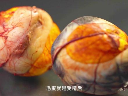 毛蛋,南方叫屈头蛋,北方人称之为活珠子,小吃界的又一黑暗料理 #毛蛋活珠子 #广西美食推荐 #小吃美食推荐 #烤实蛋 #抖音年味争霸赛