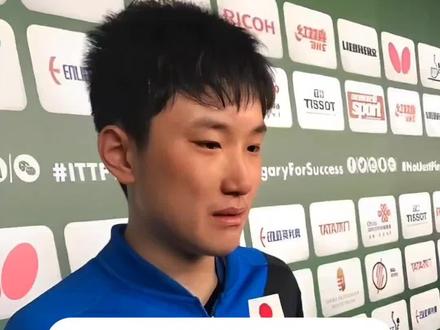 张本智和 不为人知的故事 #明星背后故事