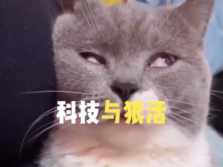 天天喝椰子水的铁子们,破大防了! #椰子水 #崇左 #315晚会 #椰子水打假