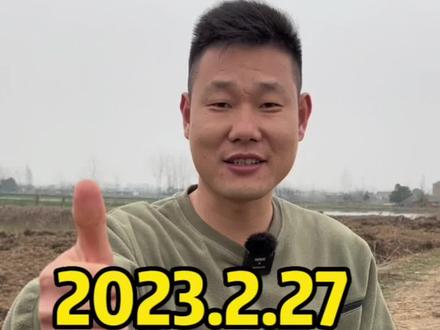 盘下450亩虾塘前期有哪些准备工作?大面积与小面积塘口又有哪些优劣势?#水产养殖 #三农 #水产人 #养虾人
