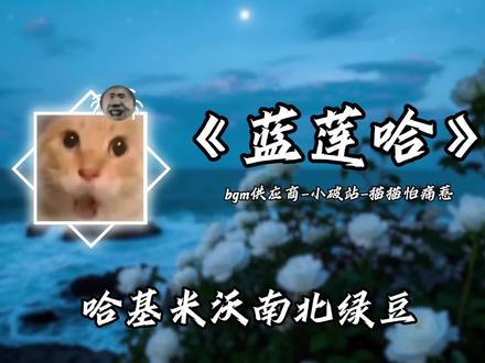 哈基米沃南北绿豆
#哈基米 #哈基米音乐 #曼波 #蓝莲花