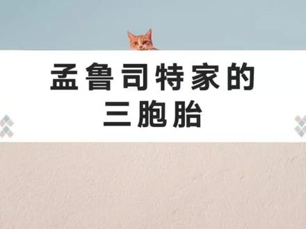 #全民健康计划 孟鲁司特家的三胞胎@河豚健康