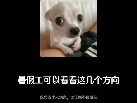 暑假工这几个方向可以看看 #暑假工 #应届生求职 #暑假 #大学生