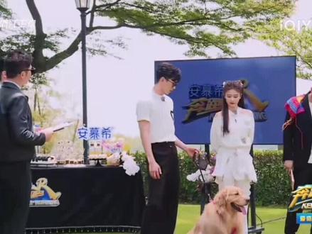 坤颖姐弟合集 baby坤坤撕名牌 张大大被虐#综艺 #奔跑吧 #angelababy #蔡徐坤 #张大大