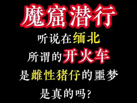 听说在缅北所谓的开火车是雌性猪仔的噩梦,是真的吗?#小说 #真人出镜 #缅北