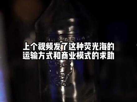 荧光海搬回家 浪漫但艰辛 #荧光海 #浪漫主义 #稀有物种