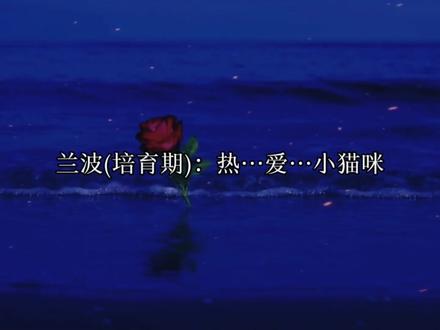 “沉落反叛者,为迎接王后打扫王宫” #人鱼陷落 #白楚年兰波 #广播剧#配音#声优都是怪物