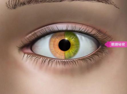 瞳孔变大变小,是什么决定的?#眼科常识 #爱眼护眼 #眼科医生袁超峰