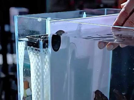 新款侧滤鱼缸详解