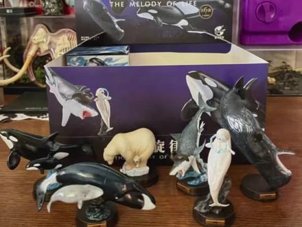 #手办 #模玩 是我喜欢的海洋动物!#潮玩 #海洋生物