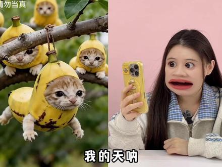 树上竟然结了“香蕉猫咪”!香香软软超可爱,为啥和刀盾狗打起来 #寻宝 #童趣 #玩具故事 #比比拉布 #我的刀盾
