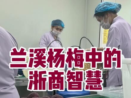 #杨梅 真的吗!在江浙沪收到杨梅才是混的好的标志?带你解读杨梅里的浙商智慧#兰溪杨梅#浙江dou知道 #浙江杨梅
