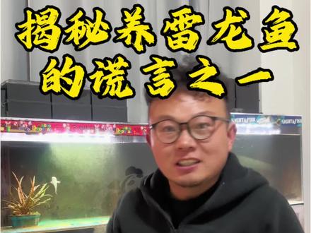 揭秘养鱼的十大谎言之一#养鱼 #雷龙鱼 #绘画老爹的鱼