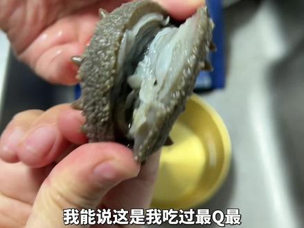 我能说这是我吃过最Q最弹的海参嘛,还得是与辉同行定制的棒槌岛冷冻辽参!#与辉同行 #与辉同行定制海参 #与辉同行定制棒槌岛冷冻辽参 #海参