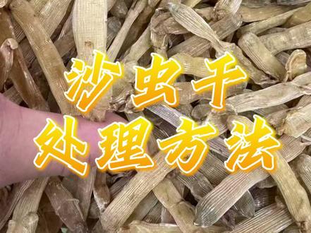 如何处理沙虫干?#沙虫干