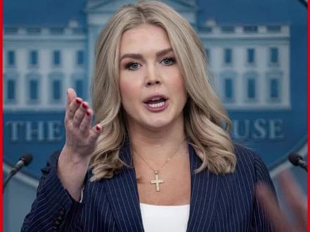 美国的言论自由,这次真是脸着地了!