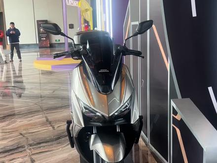 #新大洲本田平踏
#NS150ES
#预定
找王涛