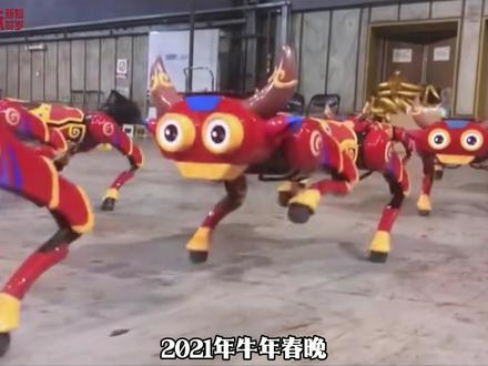 知识春节巨献 | 春晚那个打醉拳的机器人,没有一个人看懂 #春晚 #春晚机器人 #宇树科技 #宇树机器人 #抖音年味新知贺岁 @抖音科普