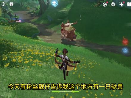 护送驮兽,最后却为了宝箱亲手做掉!旅行者恶劣行径令人发指!#原神萌新学院 #须弥攻略 #原神二周年