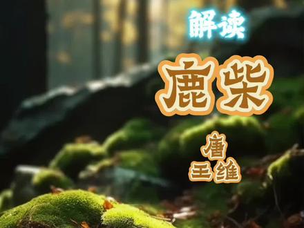 “返景入深林,复照青苔上”《鹿柴》王维的这首诗,是否通过文字让你同时从视觉和听觉上体会到了禅意。 (对诗文、意境和创作背景的解读,能让孩子更好的理解诗词,配合生动的画面和古风的诵读,让背诵古诗词也变得轻松愉快)#古诗词 #吟诵 #小学生必背古诗词 #爱上古诗词 #古诗背诵