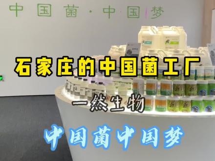 石家庄的菌工厂 #一然肠道舞 @一然生物 #石家庄