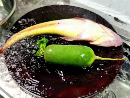 拐子鱼,蒜瓣肉,肉质紧实香甜,和青萝卜炖,这个萝卜也太好吃了#萝卜炖拐子鱼 #海鲜美食持续更新 #抖音美食推荐官