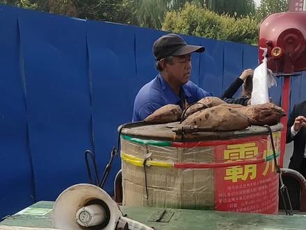 妈妈我想吃烤山药的原版来了