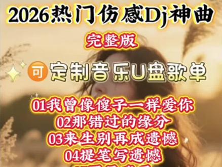 #抖音热歌#抖音热门DJ #抖音热门歌曲#车载音乐 #车载音乐优盘定制