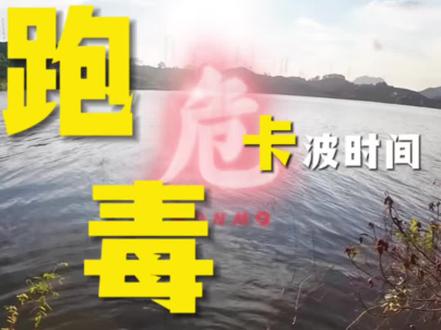 这管理员没完了#路亚 #原来钓鱼才是抖音运动顶流 #鳡鱼