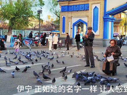 一个人穷游中国之新疆,第六站:伊宁。
有一种蓝叫伊宁蓝。
市区一日游路线👉:六星街→汉人街大巴扎→喀赞其民俗园→伊宁河大桥
#穷游 #伊宁 #旅行攻略#冬日攻略大赏 #冬日拍照打卡攻略