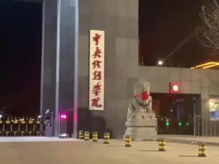 南宁夜市!这真的是做梦都想吃到的味道#南宁美食 #路边摊美味 #旅行vlog