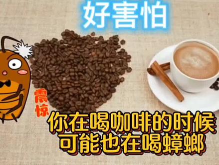 #除虫灭鼠 #蟑螂怎么消灭最彻底 #蟑螂 #蟑螂杀手 西安灭蟑螂公司/西安杀蟑螂/西安除蟑螂/家里有蟑螂怎么办