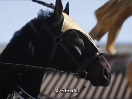 年度古装王炸来了!这阵容直接把悬疑剧卷到新高度#长安二十四计 #长安二十四计剧情高开疯走