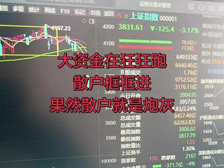 大资金在狂狂跑
散户框框进
果然散户就是炮灰#股市 #股票 #散户 #上证指数
