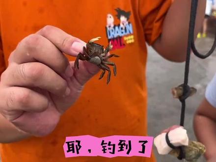 #赶海 #抓螃蟹 孤东海堤,头一次去,没经验。